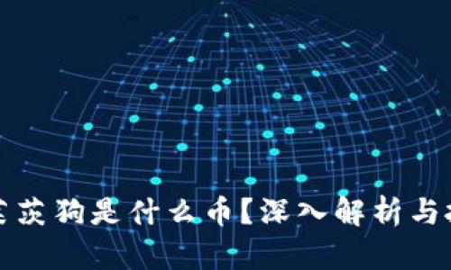 区块链莱茨狗是什么币？深入解析与投资价值