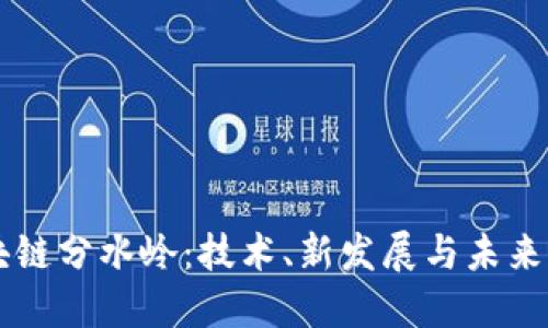 区块链分水岭：技术、新发展与未来展望