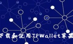 :如何在国区下载和使用