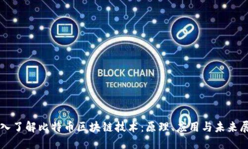 深入了解比特币区块链技术：原理、应用与未来展望