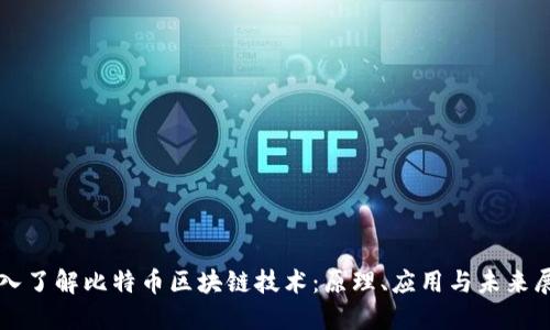 深入了解比特币区块链技术：原理、应用与未来展望