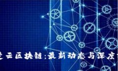 王楚云区块链：最新动态与深度分析