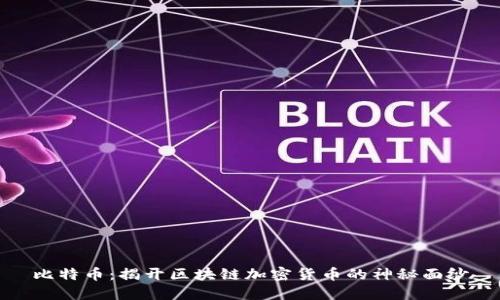 比特币：揭开区块链加密货币的神秘面纱