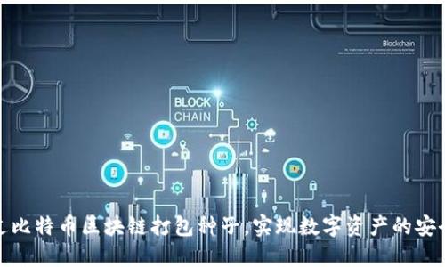 如何通过比特币区块链打包种子，实现数字资产的安全与增值