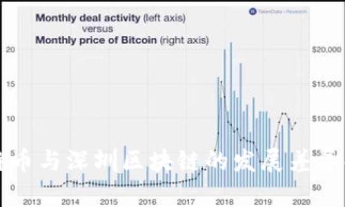 比特币与深圳区块链的发展差异解析