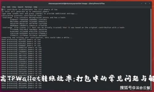 如何提高TPWallet转账效率：打包中的常见问题与解决方案