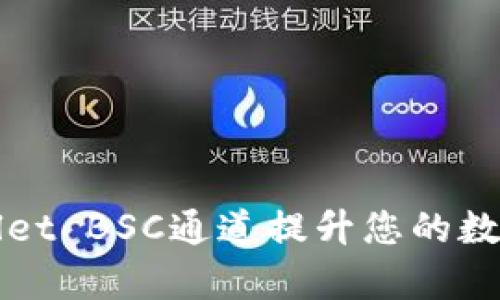 如何利用TPWallet BSC通道提升您的数字资产管理效率