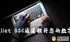 如何利用TPWallet BSC通道提升您的数字资产管理效