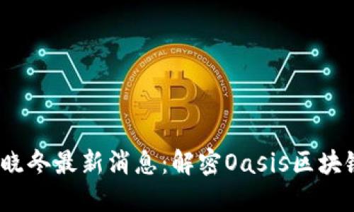 Oasis区块链宋晓冬最新消息：解密Oasis区块链的未来与机遇