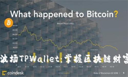马秀花波场TPWallet：掌握区块链财富的未来