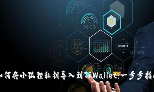 如何将小狐狸私钥导入到TPWallet：一步步指南