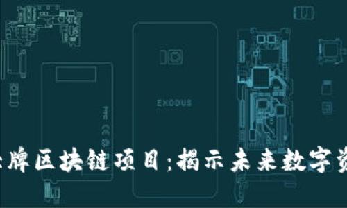 2023年最新大牌区块链项目：揭示未来数字资产的无限潜力