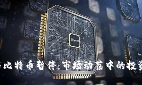 区块链ICO与比特币暂停：市场动荡中的投资机遇与风险