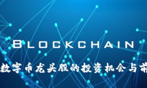 区块链数字币龙头股的投资机会与前景分析