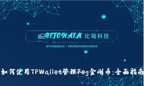 如何使用TPWallet管理Feg金刚币：全面指南