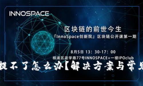 tpwallet提不了怎么办？解决方案与常见问题解析