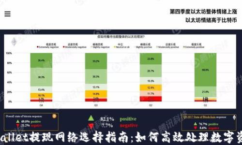 
TPWallet提现网络选择指南：如何高效处理数字资产？