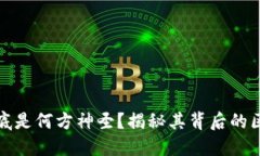 塔罗币到底是何方神圣？揭秘其背后的区块链技