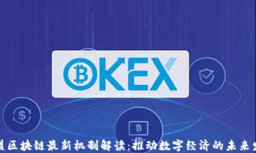 
欧盟区块链最新机制解读：推动数字经济的未来发展