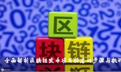 : 全面解析区块链发币项目