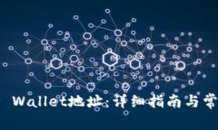 如何查询TP Wallet地址：详细指南与常见问题解答