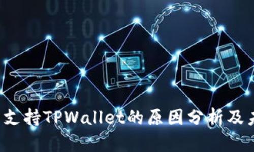  中国不支持TPWallet的原因分析及未来展望