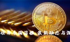 区块链项目币圈简报：最新动态与深入分析